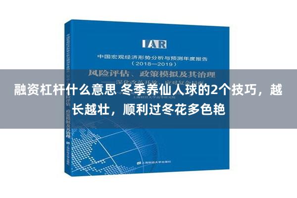 融资杠杆什么意思 冬季养仙人球的2个技巧，越长越壮，顺利过冬花多色艳