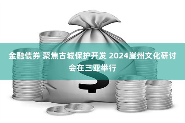 金融债券 聚焦古城保护开发 2024崖州文化研讨会在三亚举行