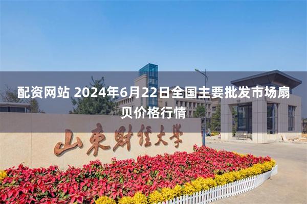 配资网站 2024年6月22日全国主要批发市场扇贝价格行情