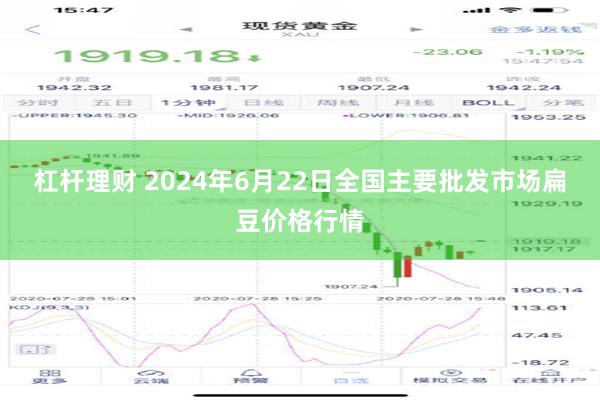 杠杆理财 2024年6月22日全国主要批发市场扁豆价格行情