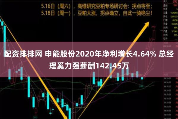 配资排排网 申能股份2020年净利增长4.64% 总经理奚力强薪酬142.45万