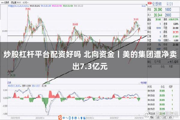 炒股杠杆平台配资好吗 北向资金丨美的集团遭净卖出7.3亿元