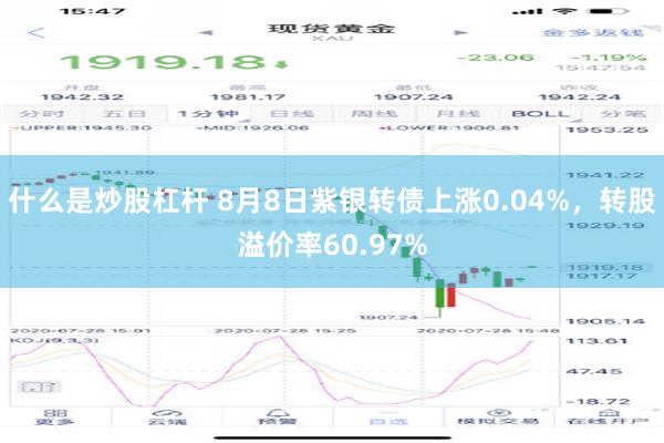 什么是炒股杠杆 8月8日紫银转债上涨0.04%，转股溢价率60.97%