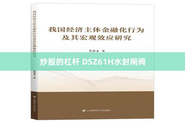 炒股的杠杆 DSZ61H水封闸阀