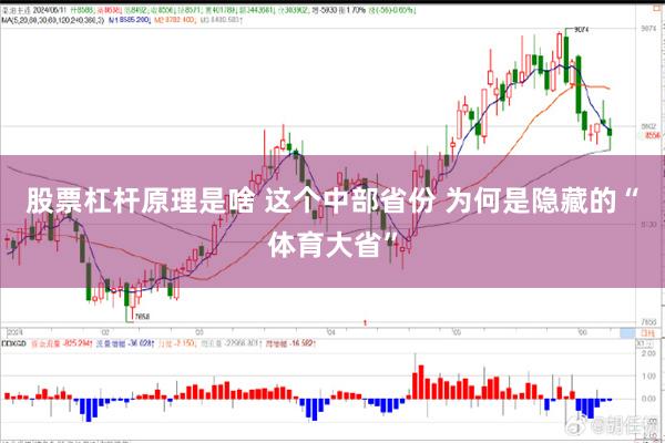 股票杠杆原理是啥 这个中部省份 为何是隐藏的“体育大省”