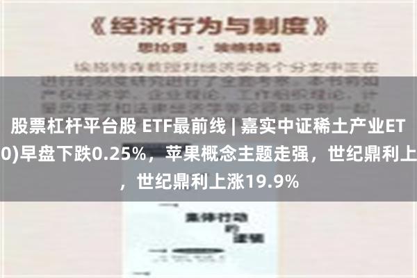 股票杠杆平台股 ETF最前线 | 嘉实中证稀土产业ETF(516150)早盘下跌0.25%，苹果概念主题走强，世纪鼎利上涨19.9%