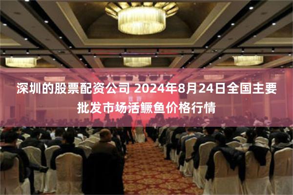 深圳的股票配资公司 2024年8月24日全国主要批发市场活鳜鱼价格行情