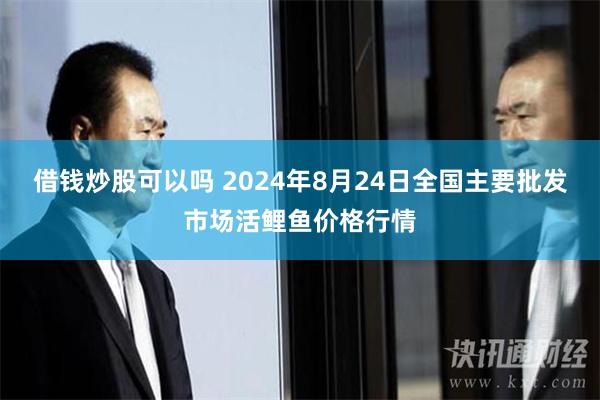 借钱炒股可以吗 2024年8月24日全国主要批发市场活鲤鱼价格行情