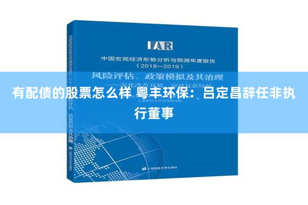 有配债的股票怎么样 粤丰环保：吕定昌辞任非执行董事