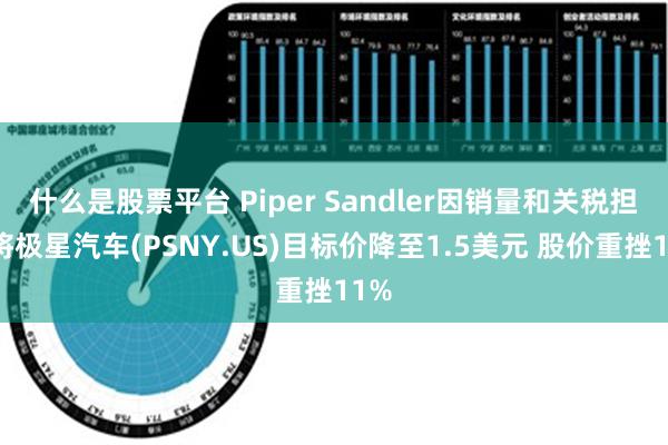 什么是股票平台 Piper Sandler因销量和关税担忧将极星汽车(PSNY.US)目标价降至1.5美元 股价重挫11%