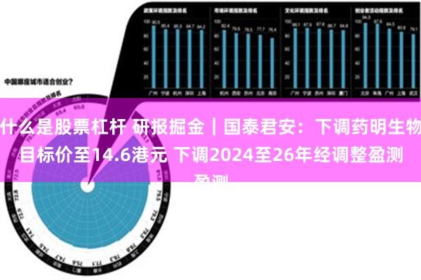 什么是股票杠杆 研报掘金｜国泰君安：下调药明生物目标价至14.6港元 下调2024至26年经调整盈测