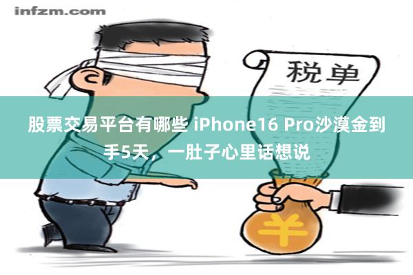 股票交易平台有哪些 iPhone16 Pro沙漠金到手5天，一肚子心里话想说