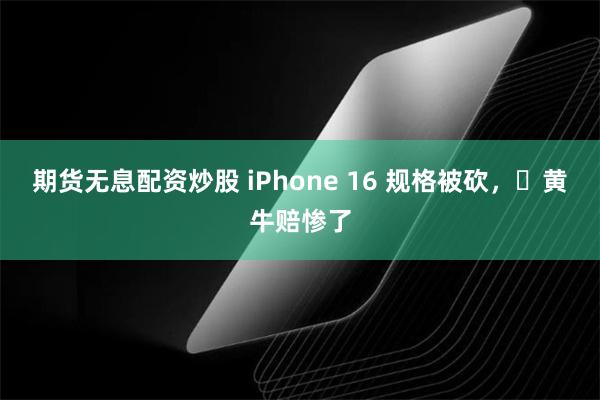 期货无息配资炒股 iPhone 16 规格被砍，​黄牛赔惨了