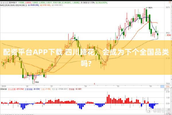 配资平台APP下载 四川蹄花，会成为下个全国品类吗?