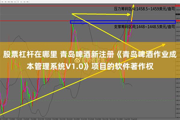 股票杠杆在哪里 青岛啤酒新注册《青岛啤酒作业成本管理系统V1.0》项目的软件著作权