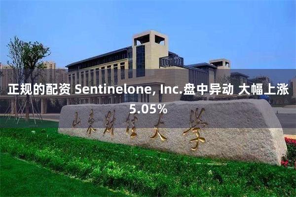 正规的配资 Sentinelone, Inc.盘中异动 大幅上涨5.05%