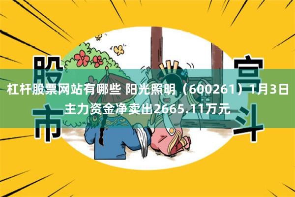 杠杆股票网站有哪些 阳光照明（600261）1月3日主力资金净卖出2665.11万元