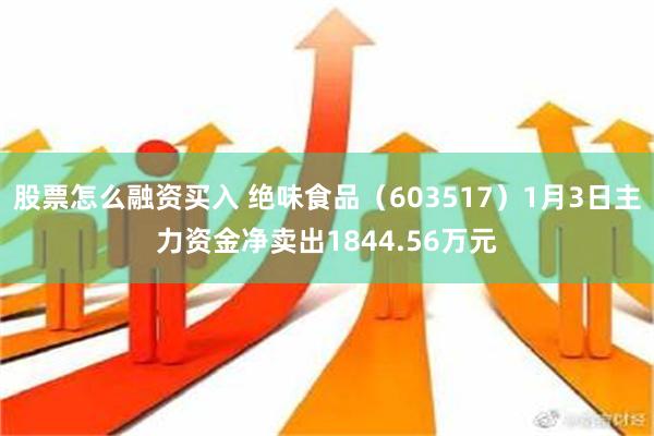 股票怎么融资买入 绝味食品（603517）1月3日主力资金净卖出1844.56万元