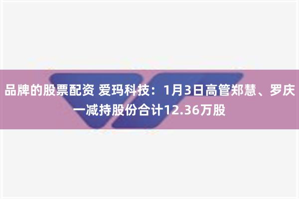 品牌的股票配资 爱玛科技：1月3日高管郑慧、罗庆一减持股份合计12.36万股