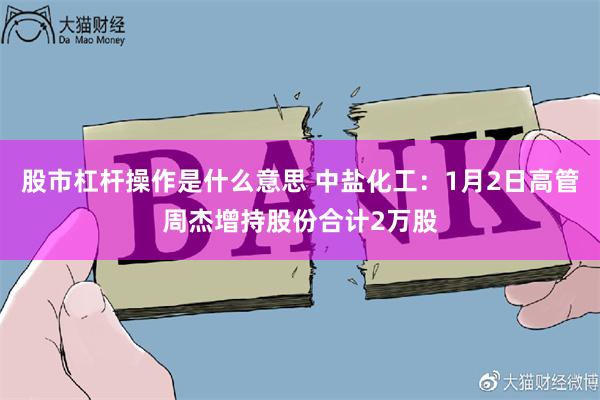 股市杠杆操作是什么意思 中盐化工：1月2日高管周杰增持股份合计2万股