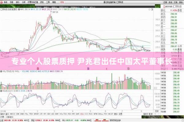 专业个人股票质押 尹兆君出任中国太平董事长