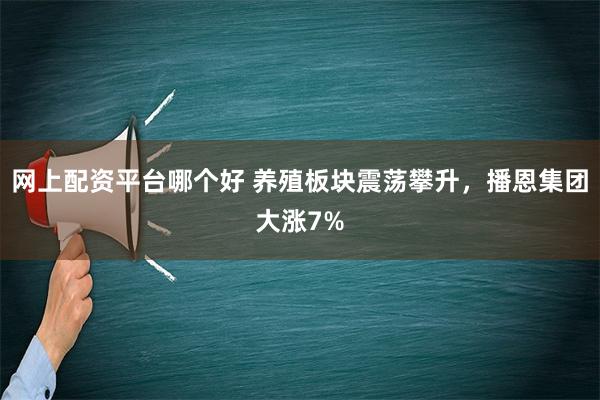 网上配资平台哪个好 养殖板块震荡攀升，播恩集团大涨7%